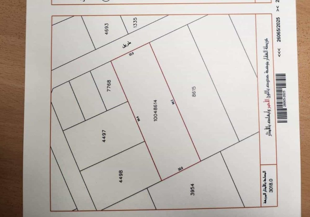 LAND FOR SALE IN DAMISTAN